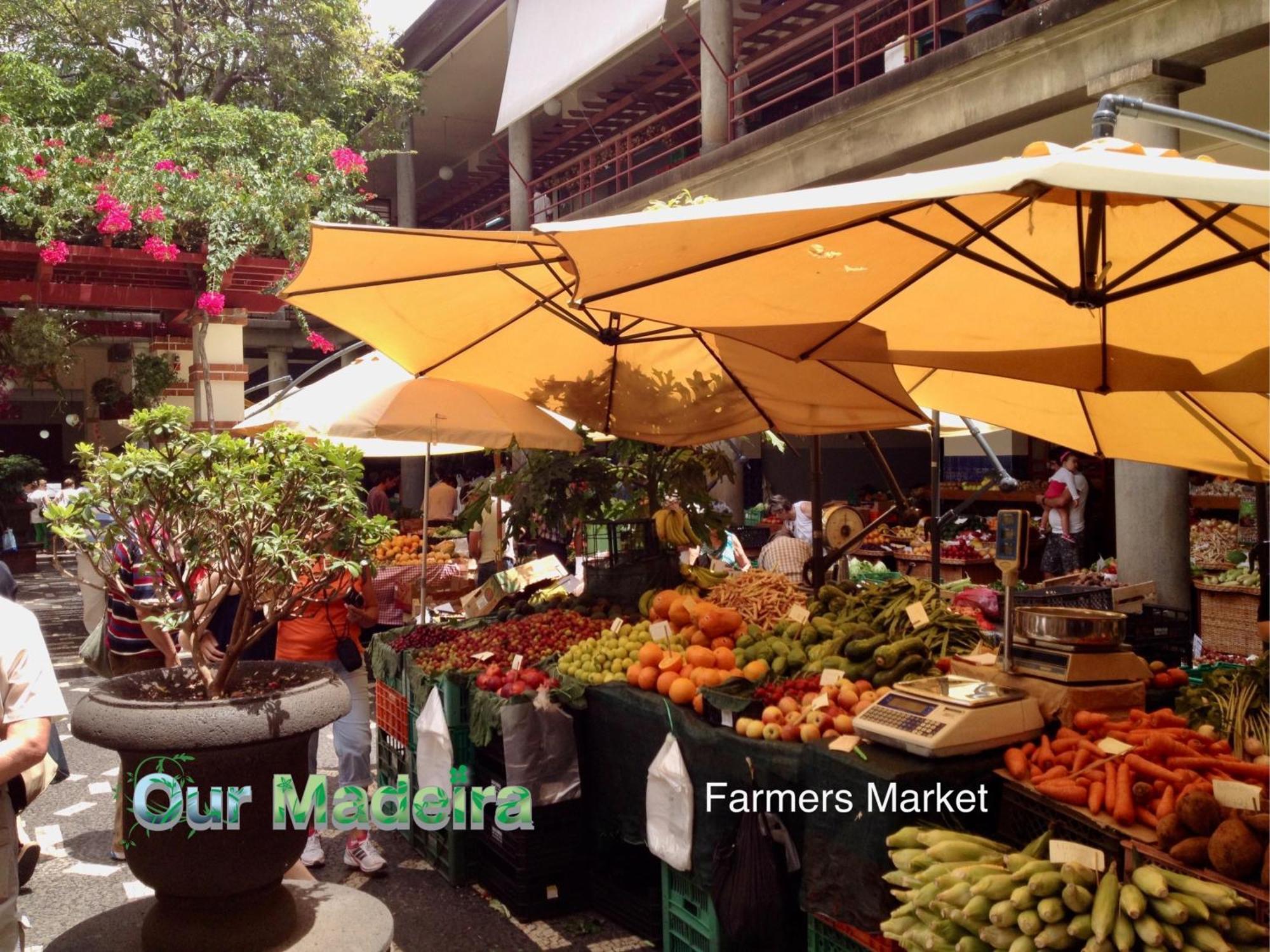 丰沙尔Ourmadeira - Heart Of Old Town I公寓 外观 照片