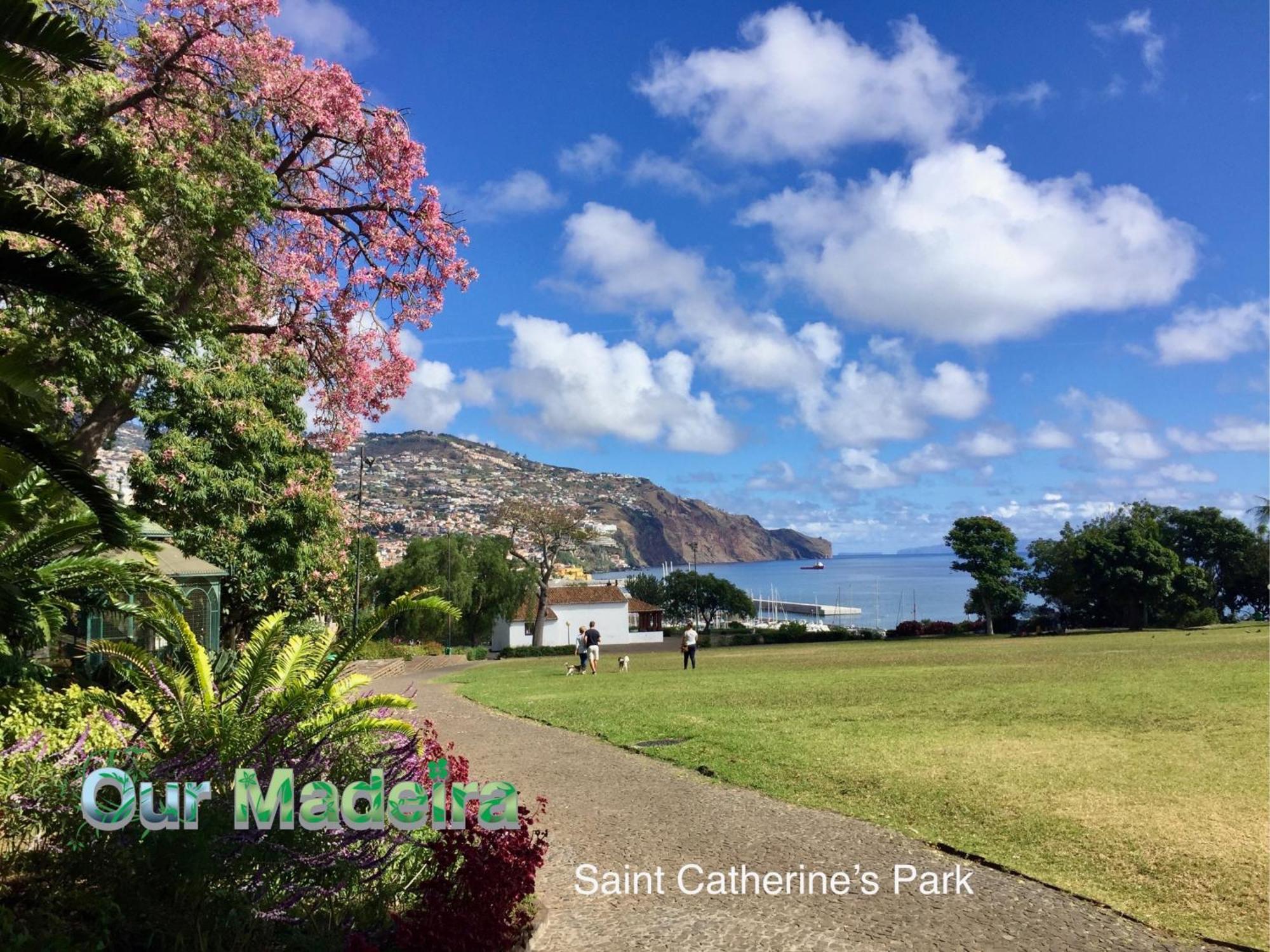 丰沙尔Ourmadeira - Heart Of Old Town I公寓 外观 照片