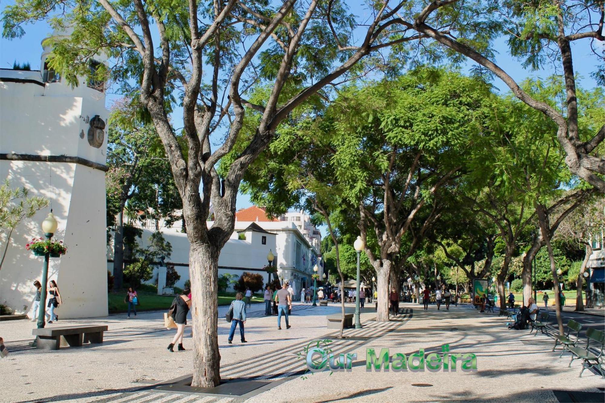 丰沙尔Ourmadeira - Heart Of Old Town I公寓 外观 照片