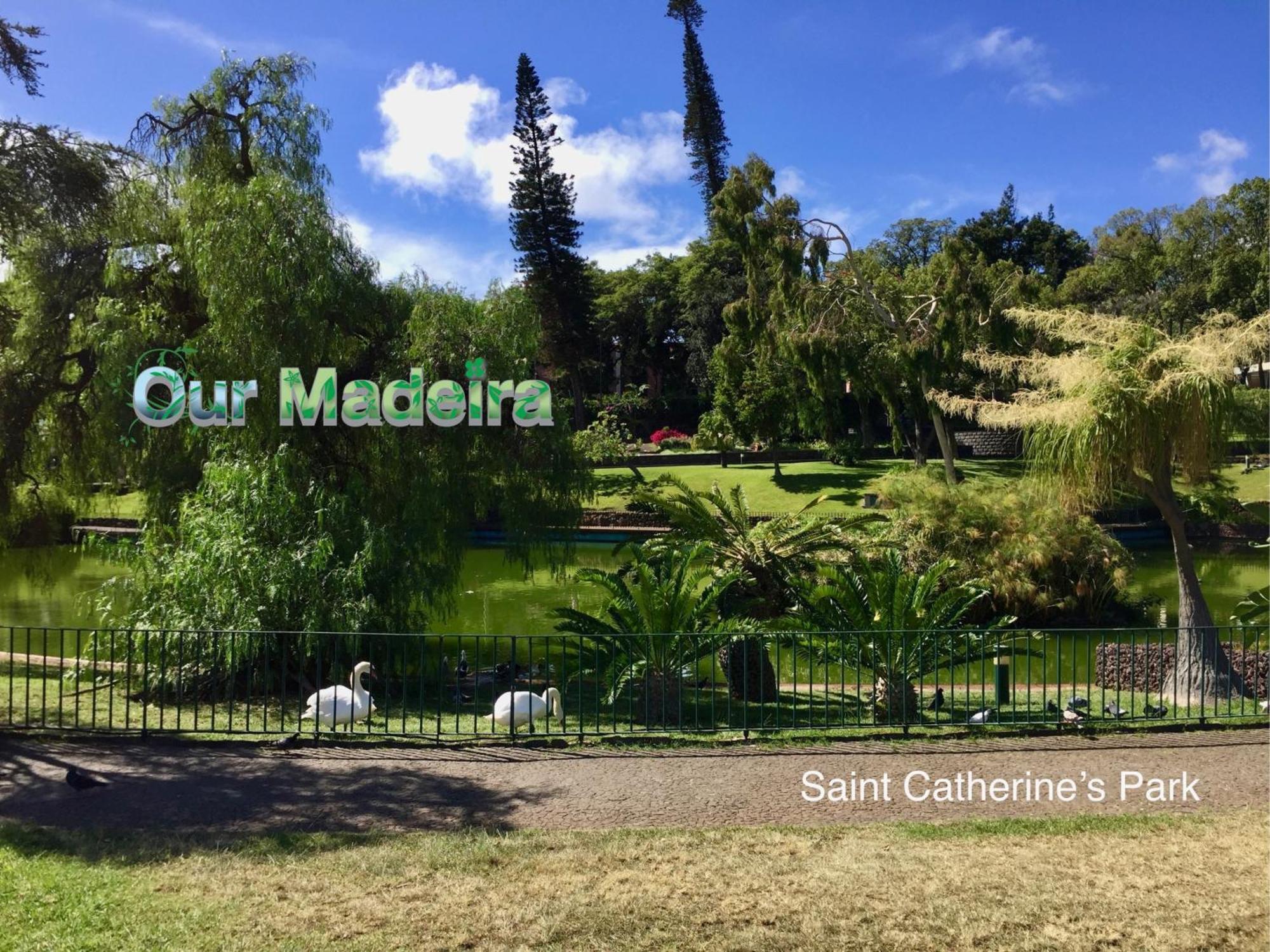 丰沙尔Ourmadeira - Heart Of Old Town I公寓 外观 照片